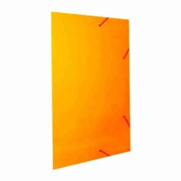 Pasta cartão duplex