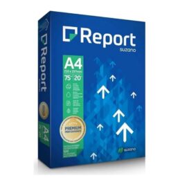 Papel Sulfite Report