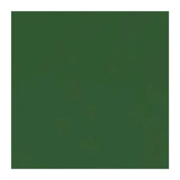 Papel cartão fosco verde