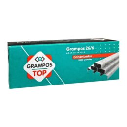 Grampos galvanizados