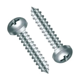 Parafuso Auto Atarraxante